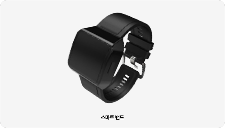 스마트 밴드